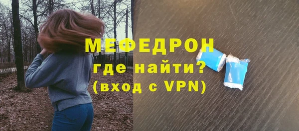 индика Ростов