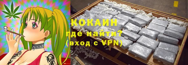 индика Ростов