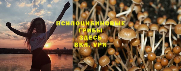 Альфа ПВП Протвино
