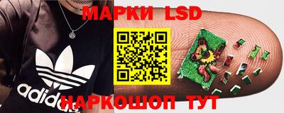 дмт Заволжье