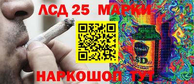 тгк Заводоуковск
