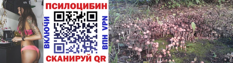 закладка Кирово-Чепецк Галлюциногенные грибы MAGIC MUSHROOMS